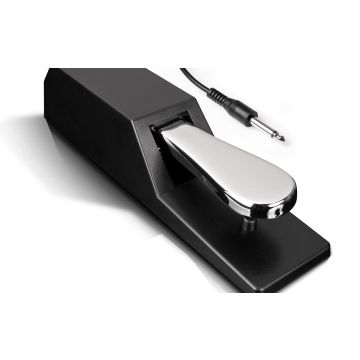 ASP-2 Universal Piano Style Sustain Pedal